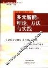 多元智能  理论、方法与实践 封面