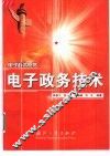 电子政务技术 封面