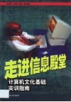 走进信息殿堂  计算机文化基础实训指南 封面