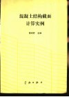 混凝土结构截面计算实例 封面