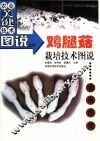 鸡腿菇栽培技术图说 封面