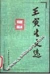 王寅生文选 封面