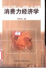 消费力经济学 封面