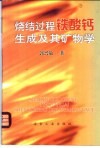 烧结过程铁酸钙生成及其矿物学 封面