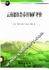 云南德钦鲁春锌铜矿评价 封面