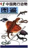 中国爬行动物图鉴 封面