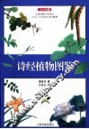 诗经植物图鉴 封面