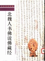 北魏人书佛说佛藏经 封面