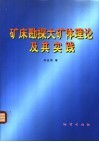 矿床勘探大矿体理论及其实践 封面