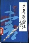 少年学书法 封面