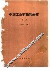 中国工业矿物和岩石  下 封面