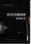 国有经济战略调整对策研究 封面