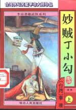 妙贼丁小勾  续集  上 封面