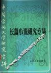 长篇小说研究专集  中 封面