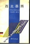 西北暴雨 封面