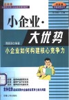 小企业·大优势  小企业如何构建核心竞争力 封面