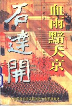 血雨黯天京 封面