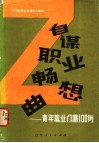 自谋职业畅想曲  青年就业门路100例 封面