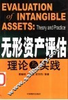 无形资产评估理论与实践 封面