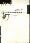 大分子体系的量子化学 封面