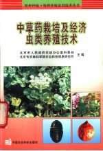 中草药栽培及经济虫类养殖技术 封面