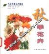 秋季花卉 封面