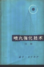 喷丸强化技术  文集 封面