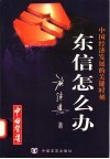中国经济发展的关键时刻：东信怎么办 封面