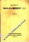 Nd-Fe-B永磁体技术 上 封面