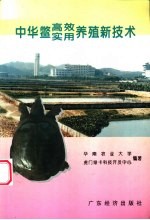 中华鳖高效实用养殖新技术 封面