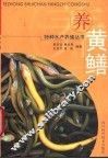 养黄鳝 封面