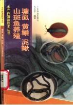 塘虱  黄鳝  泥鳅  山斑鱼养殖 封面