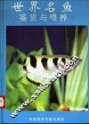 世界名鱼鉴赏与喂养 封面