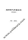 城市燃气科普知识  报刊结集 封面