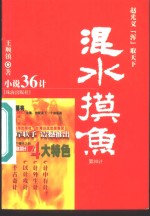 混水摸鱼  赵光义‘浑’取天下 封面