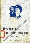 青少年犯罪：预测  预防  综合治理 封面