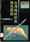 台湾海峡虾类原色图册 封面