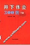 井下作业300例  下 封面