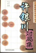 许银川对局集 封面