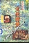 圣诞歌曲与文化背景 封面