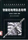 智能化地理信息处理 封面