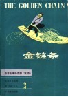 金链条 封面