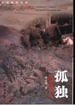 孤独的伐木人 封面