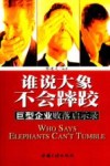 谁说大象不会〓跤  巨型企业败落启示录 封面