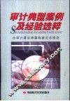 审计典型案例及经验选粹 封面