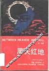 黑天红地 封面
