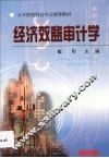 经济效益审计学 封面
