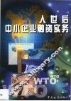 入世后中小企业融资实务 封面