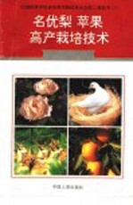 名优梨、苹果高产栽培技术 封面