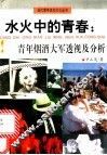 水火中的青春：青年烟酒大军透视及分析 封面